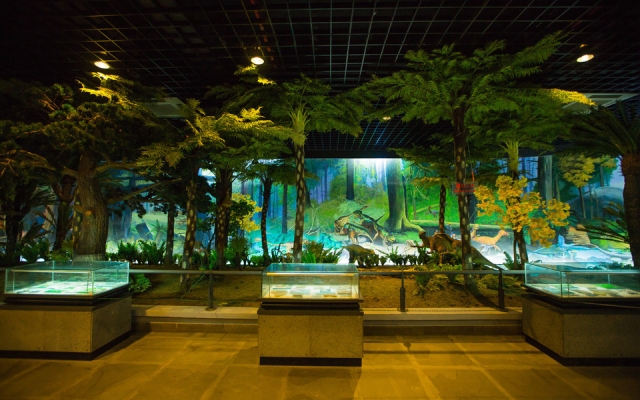 赤峰市減壓館電話地址查詢-第1張圖片