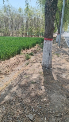 赤峰家政擦玻璃電話-第1張圖片