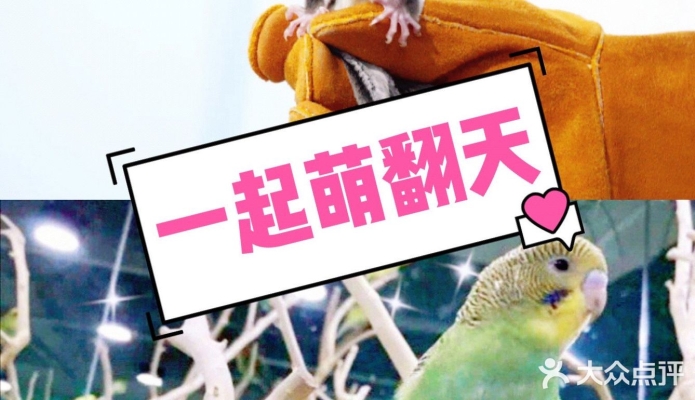 赤峰萌寵互動(dòng)中心電話地址查詢-第1張圖片