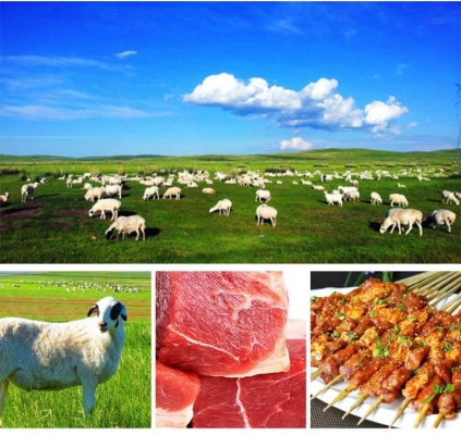 赤峰秧苗出售信息電話號碼查詢-第1張圖片