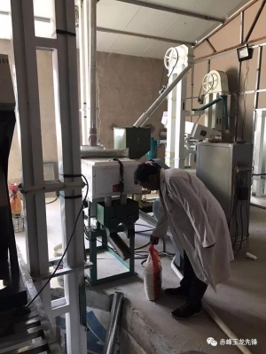 赤峰水稻招商部電話是多少號-第1張圖片