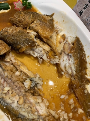 赤峰賣觀賞海魚電話號碼是多少-第1張圖片