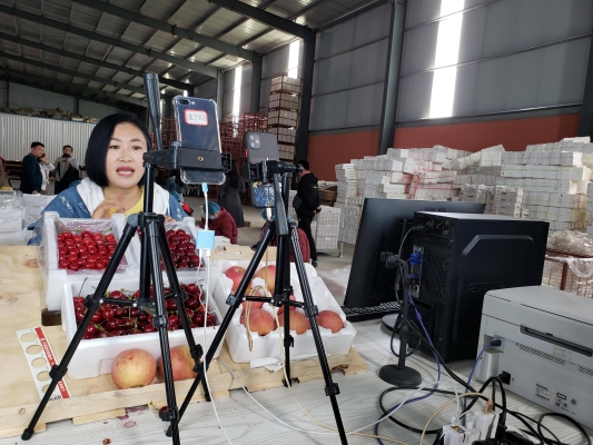 赤峰綠豐櫻桃采摘園電話號碼-第1張圖片