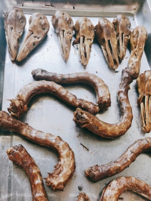 赤峰麻辣甲魚火鍋店電話號碼-第1張圖片