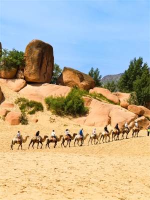 赤峰阿旗手工靴子店電話號碼-第1張圖片