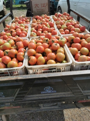 赤峰到老府客車司機(jī)電話號碼-第1張圖片