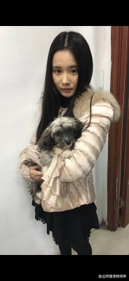 赤峰流浪貓收養(yǎng)站電話-第1張圖片