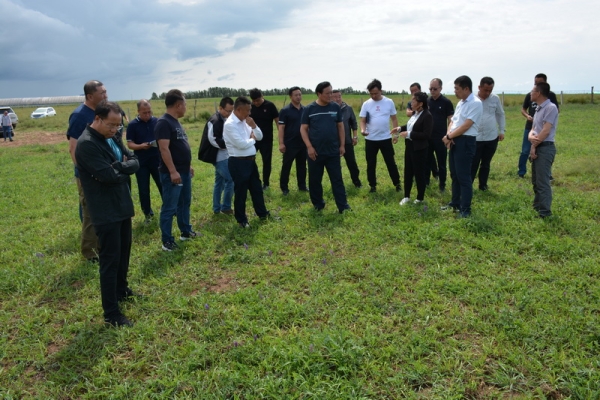 赤峰水培牧草供應(yīng)站電話號碼-第1張圖片