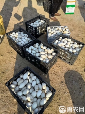 赤峰牲畜養(yǎng)殖場(chǎng)電話號(hào)碼-第1張圖片