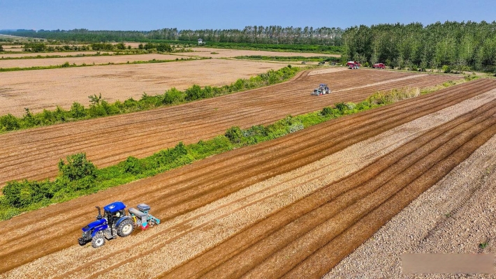紅谷麥場(chǎng)-第1張圖片