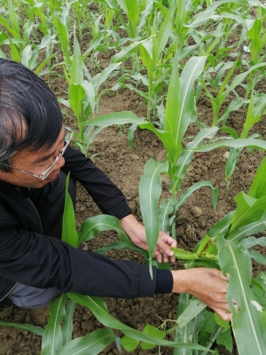 赤峰縣魯貢鎮(zhèn)政府電話號(hào)碼-第1張圖片