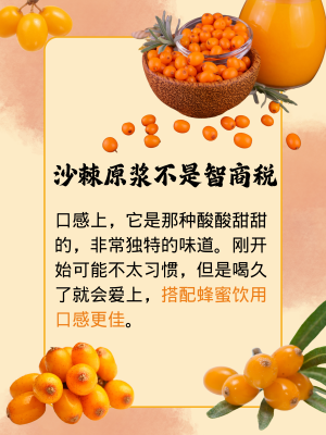 赤峰沙棘果廠家聯(lián)系電話號碼-第1張圖片