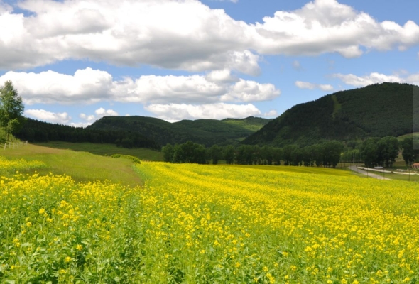 赤峰美林谷飲料廠電話號(hào)碼-第1張圖片