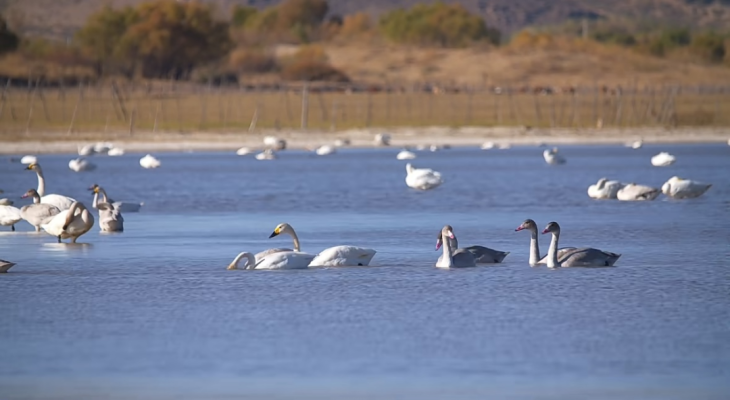 赤峰水善匯直播間電話號(hào)碼-第1張圖片