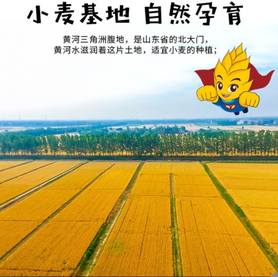 赤峰中裕掛面電話號碼查詢-第1張圖片