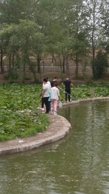 赤峰東郊玻璃廠電話號碼-第1張圖片