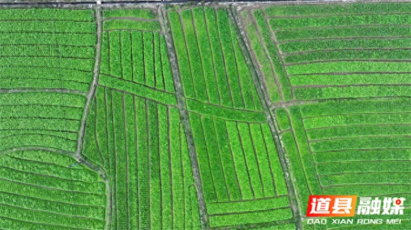 赤峰小羅卜營地電話號(hào)碼-第1張圖片