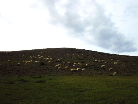 赤峰草原牧歌飯店-第1張圖片