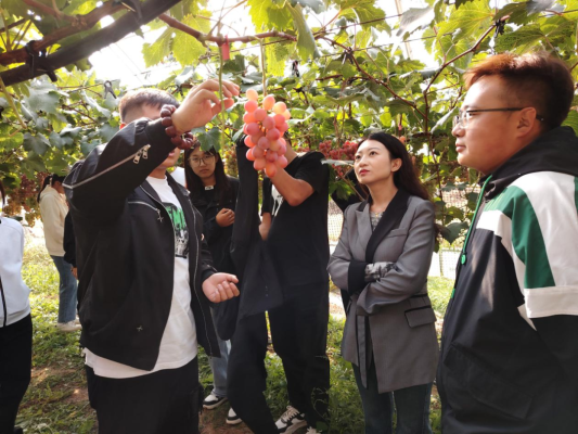 赤峰文忠教育基地地址電話號碼-第1張圖片