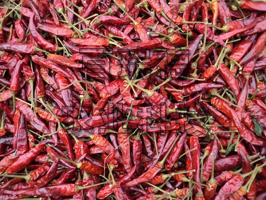 赤峰辣椒皮烘干廠家電話號(hào)碼-第1張圖片