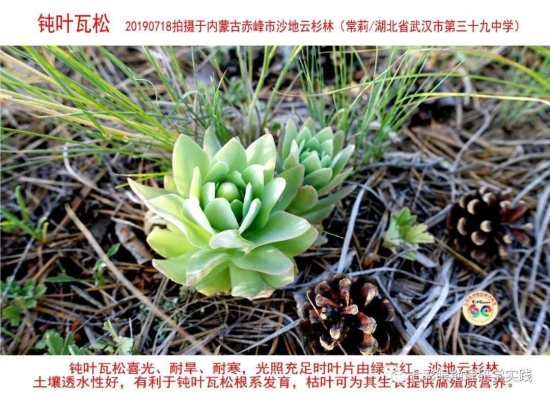 赤峰市葉片廠地址電話號(hào)碼-第1張圖片