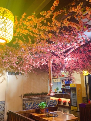 赤峰蒲東櫻藝餐廳電話號(hào)碼-第1張圖片