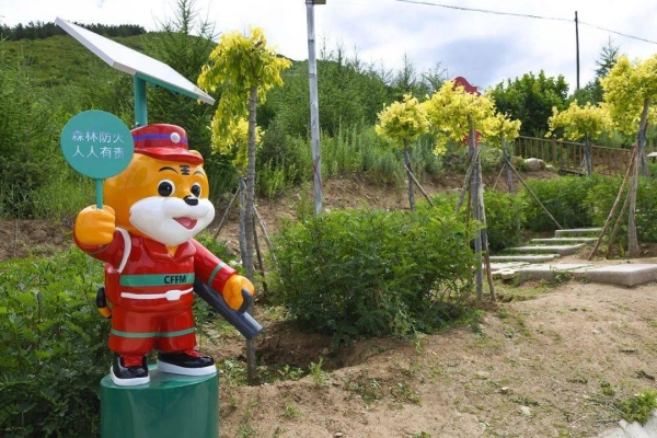 赤峰安裝機(jī)器人電話號碼-第1張圖片