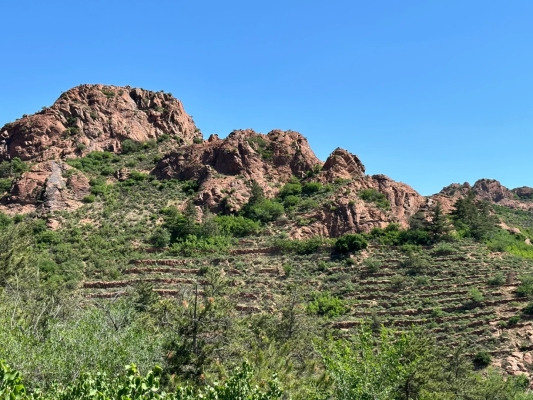 赤峰爆紅-第1張圖片