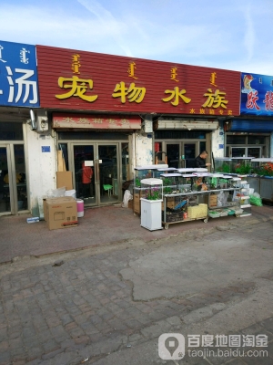 赤峰寵物專賣店地址電話號(hào)碼-第1張圖片