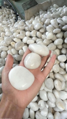 赤峰真金板批發(fā)廠家電話號碼-第1張圖片