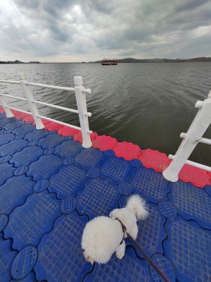 赤峰北林拼車群電話號(hào)碼-第1張圖片