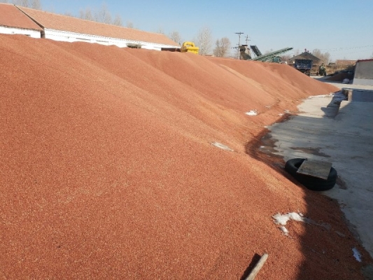 赤峰高粱經(jīng)銷商電話號(hào)碼-第1張圖片