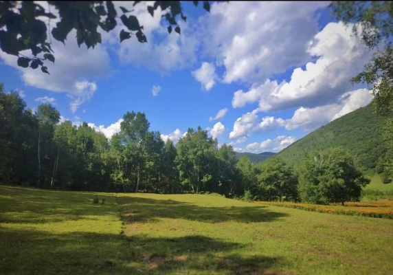 赤峰美林谷拼車電話號碼-第1張圖片