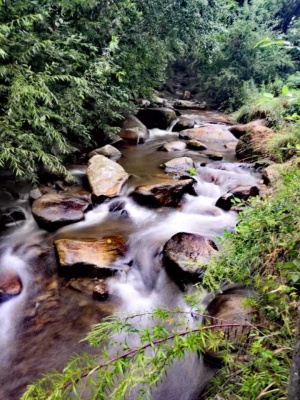 赤峰寧城高鐵站的電話是多少-第1張圖片