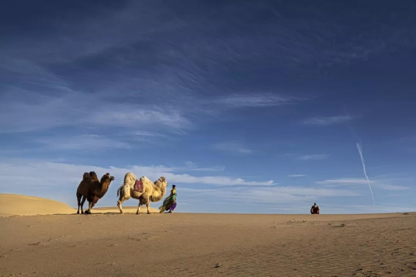 赤峰到奈曼順風(fēng)車電話號碼-第1張圖片