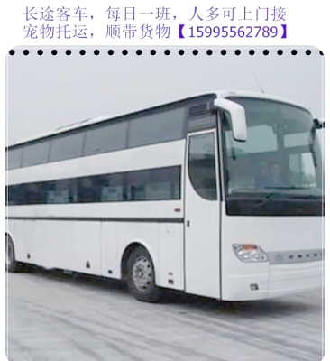 赤峰至四平客車電話號碼-第1張圖片