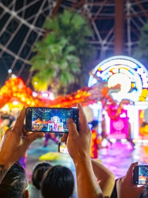赤峰市區(qū)打鐵花店電話號(hào)碼-第1張圖片
