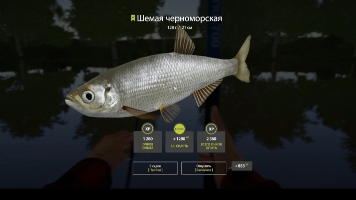 赤峰百果園釣魚地點(diǎn)電話號碼-第1張圖片