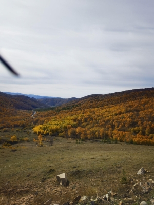 赤峰普捷農(nóng)資電話號(hào)碼查詢-第1張圖片