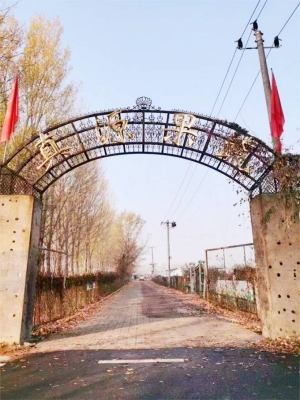 赤峰蔬菜大棚安裝公司電話號(hào)碼-第1張圖片