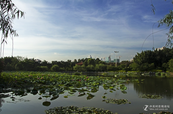 赤峰荷塘盛宴婚宴電話號(hào)碼查詢-第1張圖片