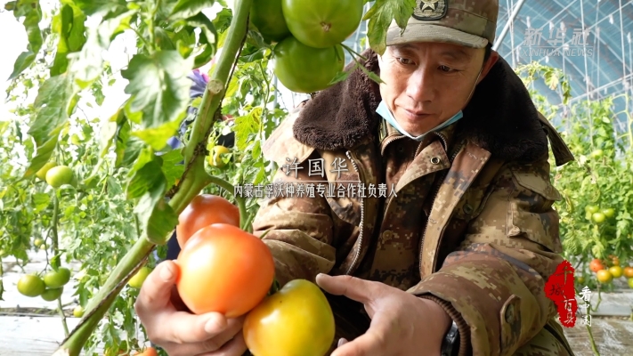 赤峰韭花采摘基地電話號(hào)碼-第1張圖片