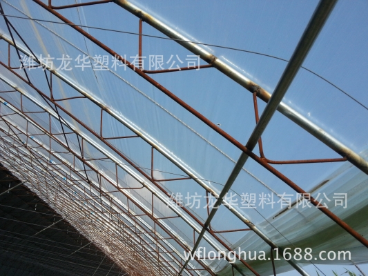 赤峰大棚膜批發(fā)廠家電話號(hào)碼-第1張圖片