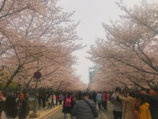 赤峰和美網(wǎng)球場電話地址查詢-第1張圖片