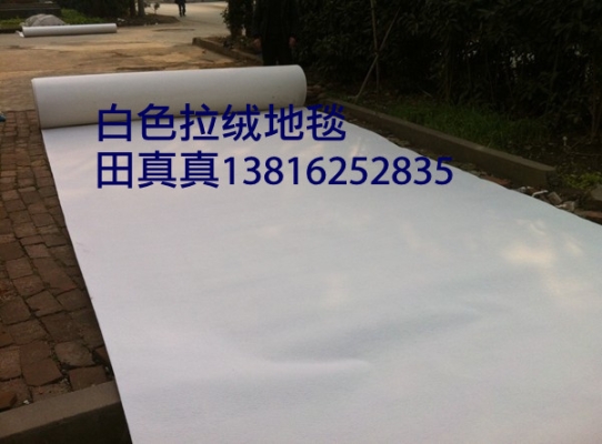 赤峰拉絨地毯批發(fā)電話號碼-第1張圖片