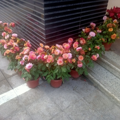 赤峰小區(qū)瑩盈超市電話號碼-第1張圖片