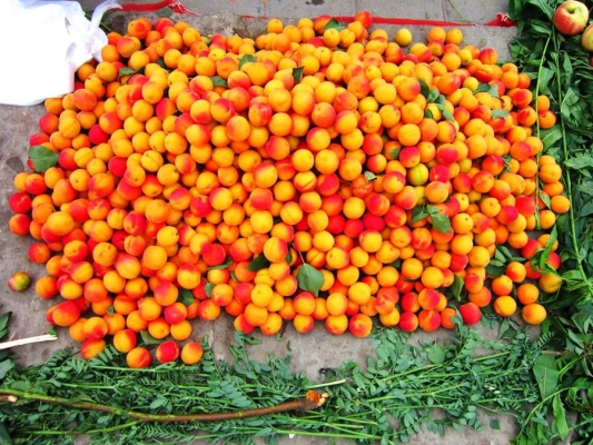 赤峰新城買菜電話多少啊-第1張圖片