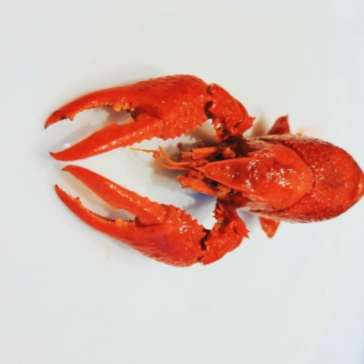 赤峰市九典書房電話號(hào)碼-第1張圖片