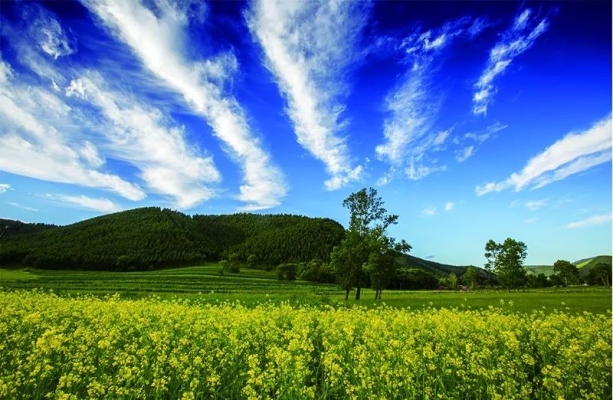 包頭到赤峰的拼車電話號(hào)碼-第1張圖片