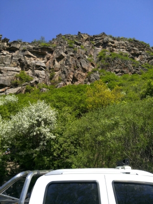 赤峰林西銅都酒店電話號碼-第1張圖片